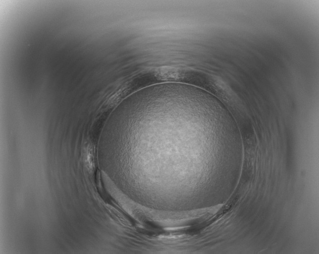 X0000058800125200510071712