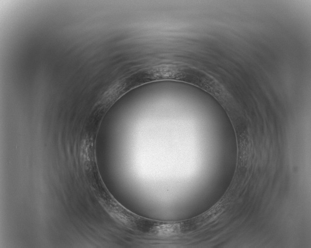 X0000058800126200510071712