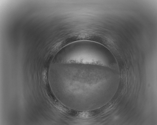 X0000058800127200510071712