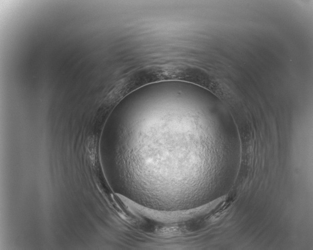 X0000058800129200510071712