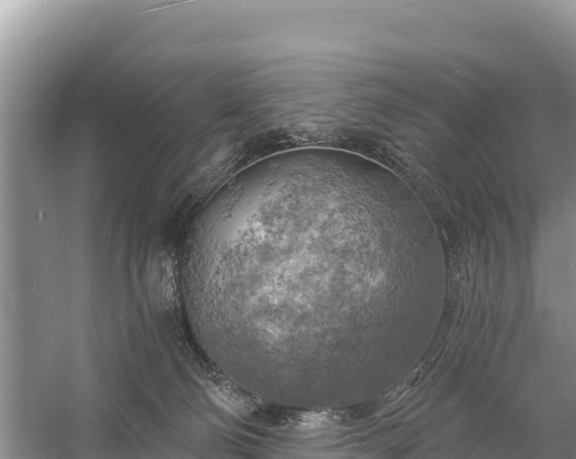 X0000058800130200510071712