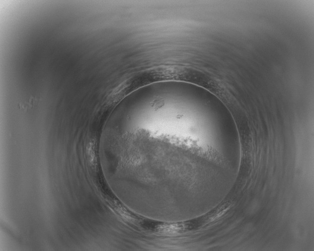 X0000058800131200510071712