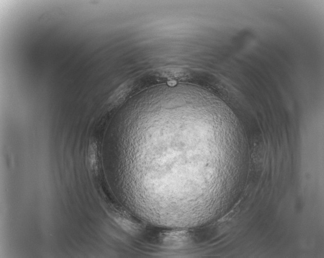 X0000058800132200510071712