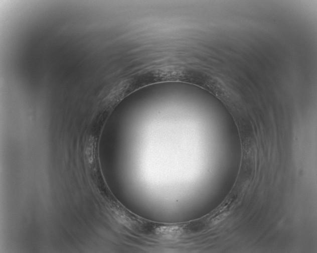 X0000058800133200510071712