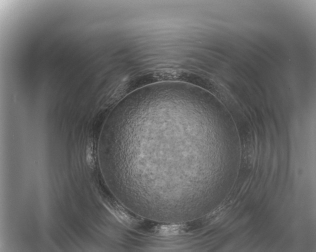 X0000058800134200510071712