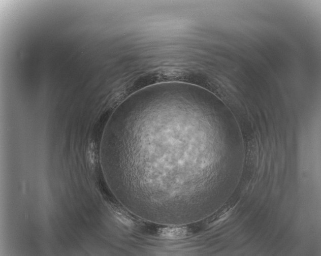 X0000058800135200510071712