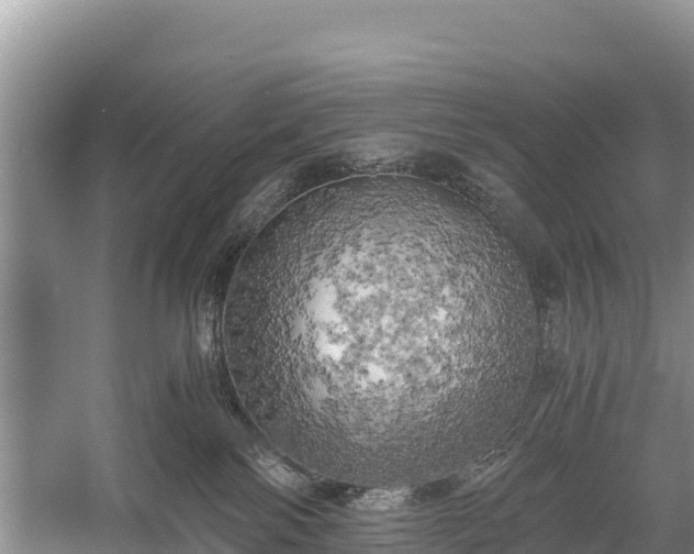 X0000058800138200510071712