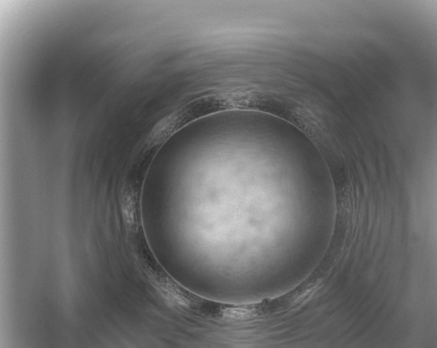 X0000058800139200510071712