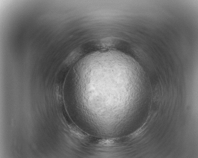 X0000058800140200510071712