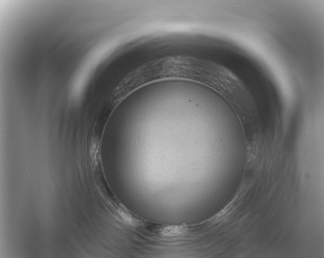 X0000058800142200510071712