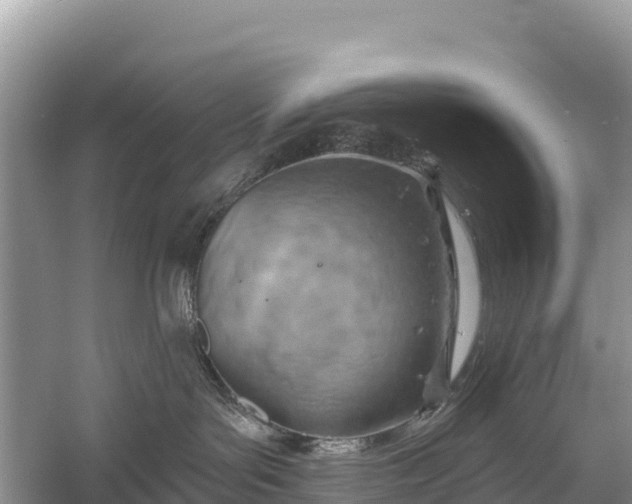 X0000058800143200510071712