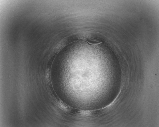 X0000058800144200510071711