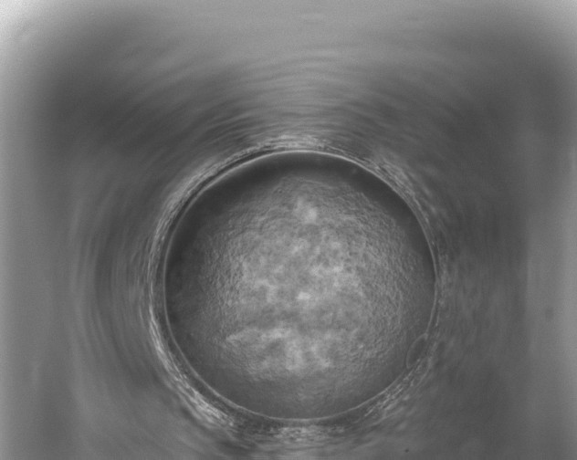 X0000058800145200510071711