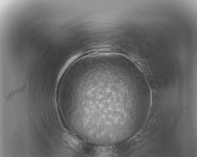 X0000058800147200510071711