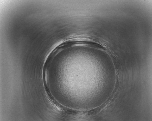 X0000058800148200510071711