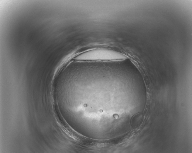 X0000058800149200510071711