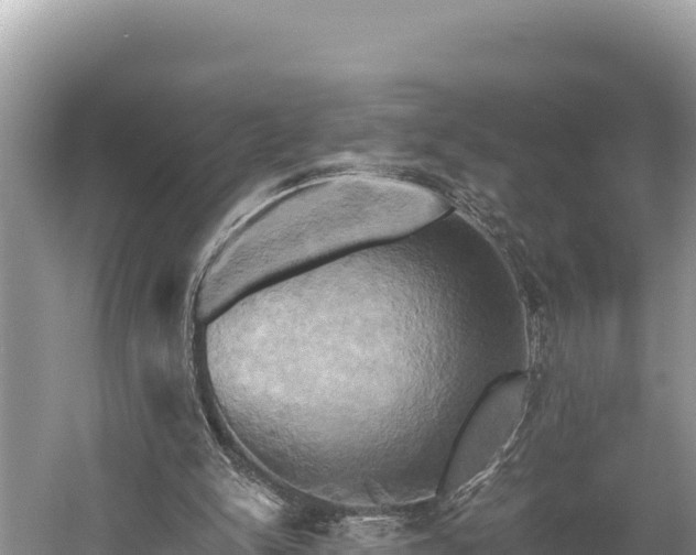 X0000058800150200510071711