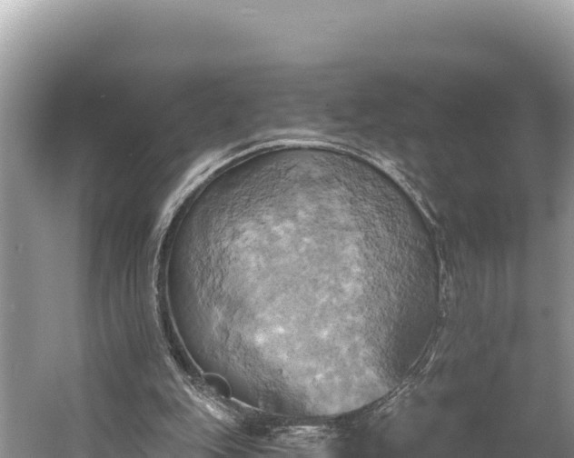 X0000058800151200510071711