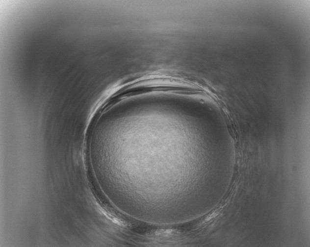 X0000058800152200510071711