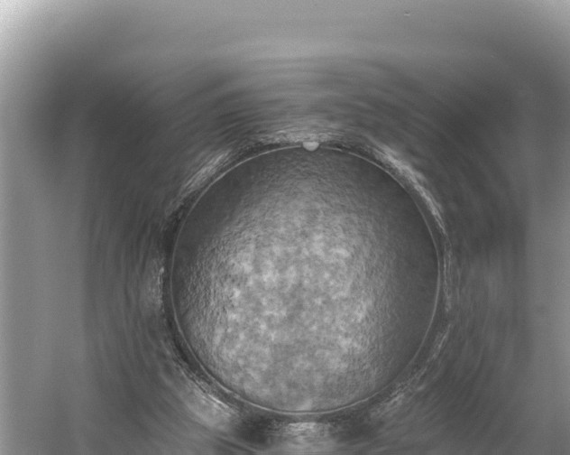 X0000058800153200510071711