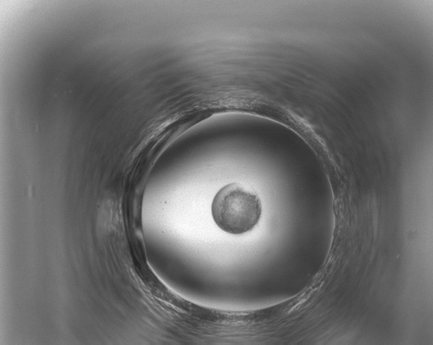 X0000058800154200510071711