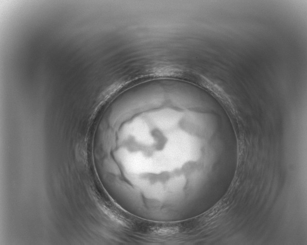 X0000058800155200510071711