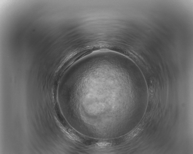 X0000058800158200510071711