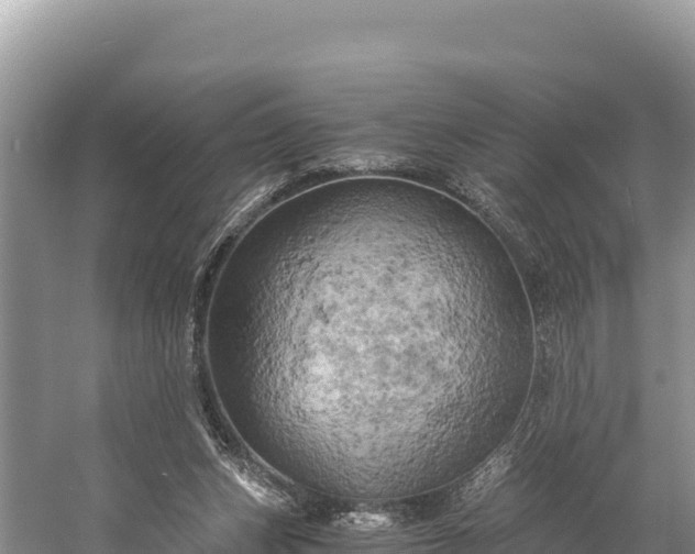 X0000058800159200510071711