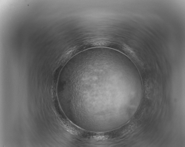 X0000058800161200510071711