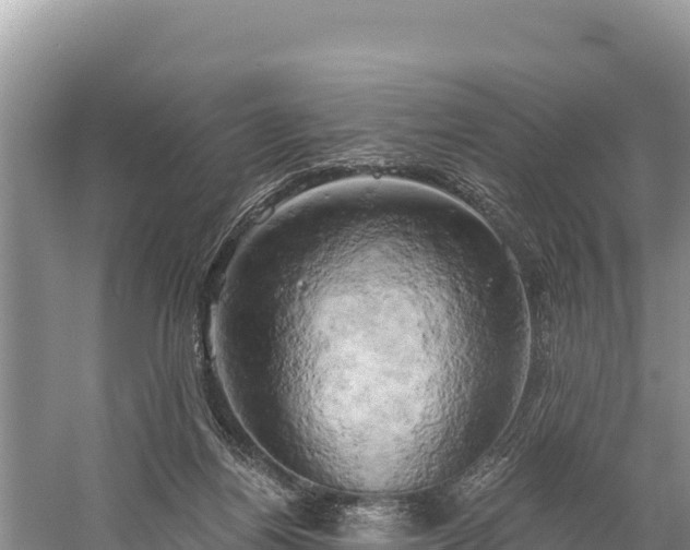 X0000058800164200510071711