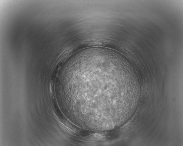 X0000058800166200510071711