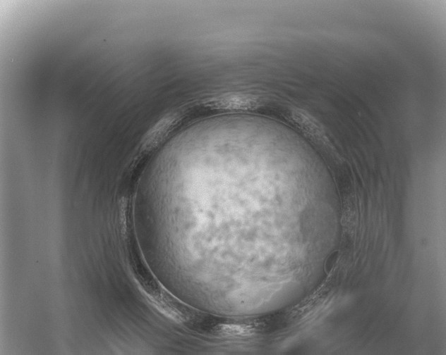 X0000058800167200510071711