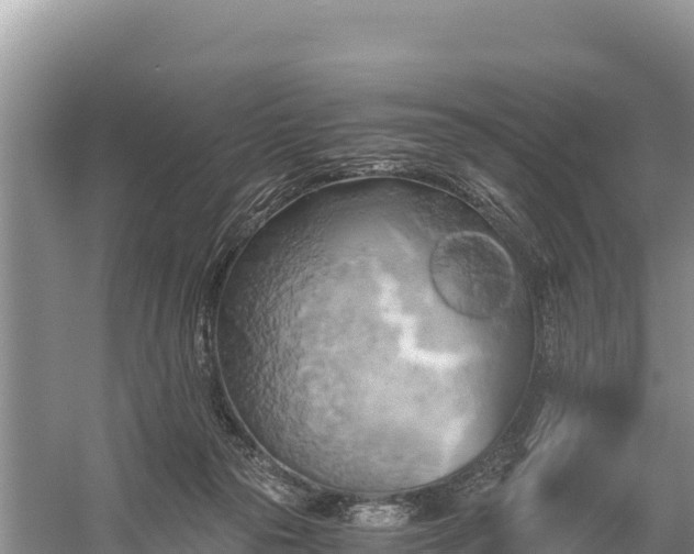 X0000058800169200510071711