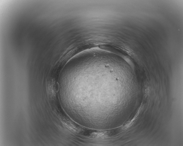 X0000058800170200510071711