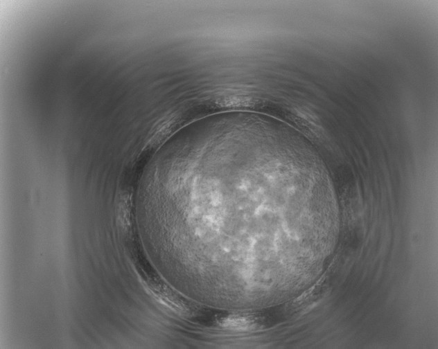 X0000058800171200510071711