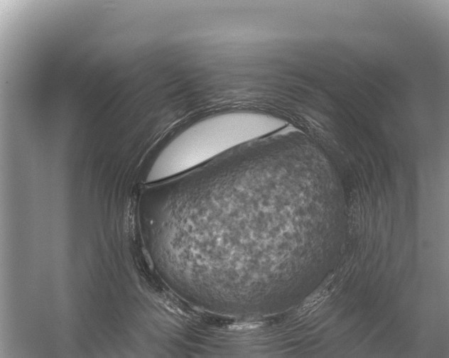 X0000058800172200510071711