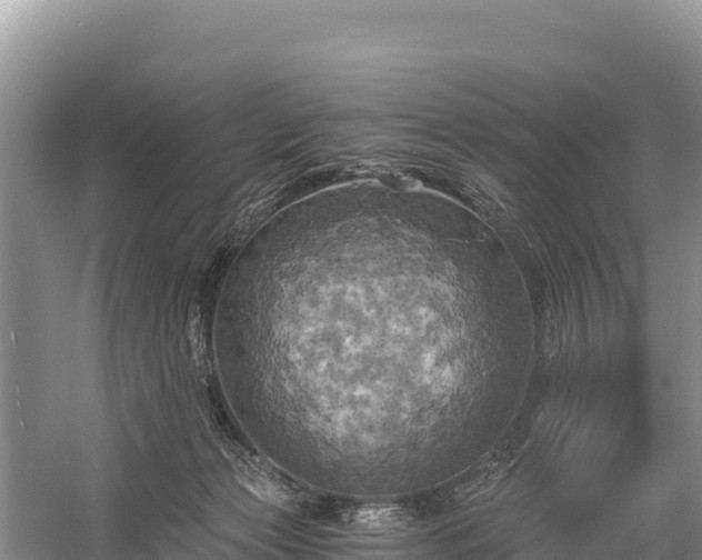 X0000058800173200510071711