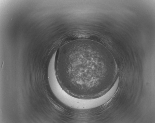 X0000058800175200510071711