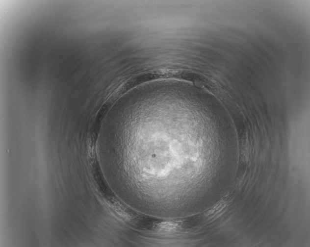 X0000058800176200510071711