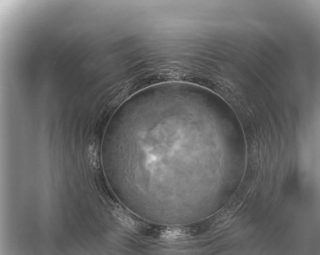 X0000058800177200510071711