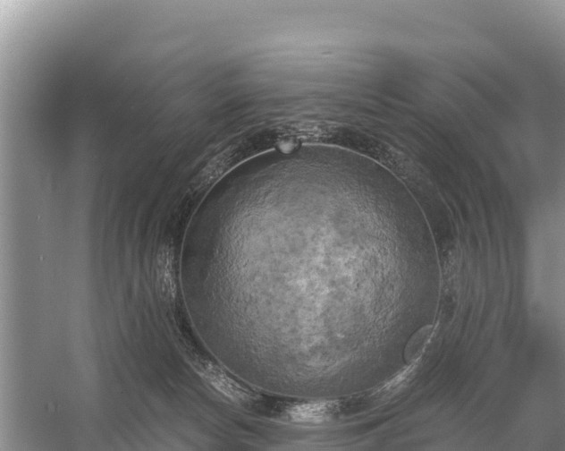 X0000058800178200510071711