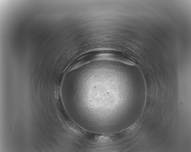 X0000058800180200510071711