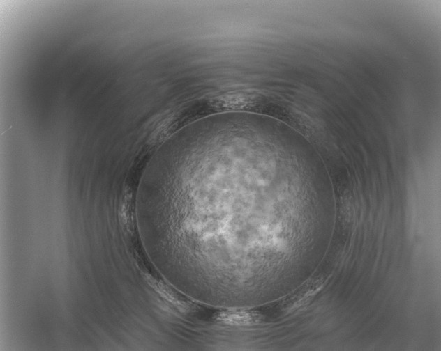 X0000058800181200510071711