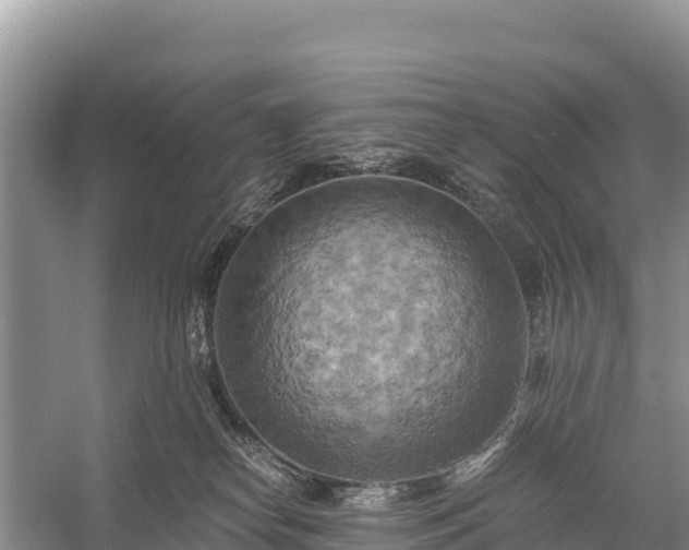 X0000058800182200510071711