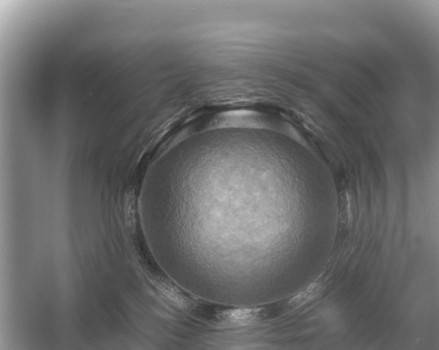 X0000058800184200510071711