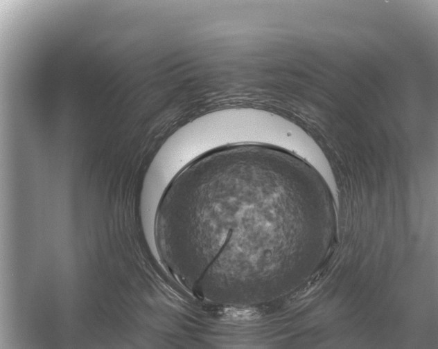 X0000058800185200510071711