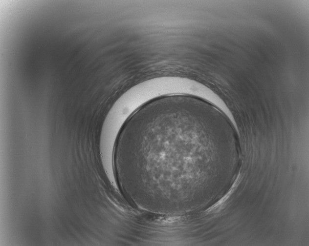 X0000058800186200510071711