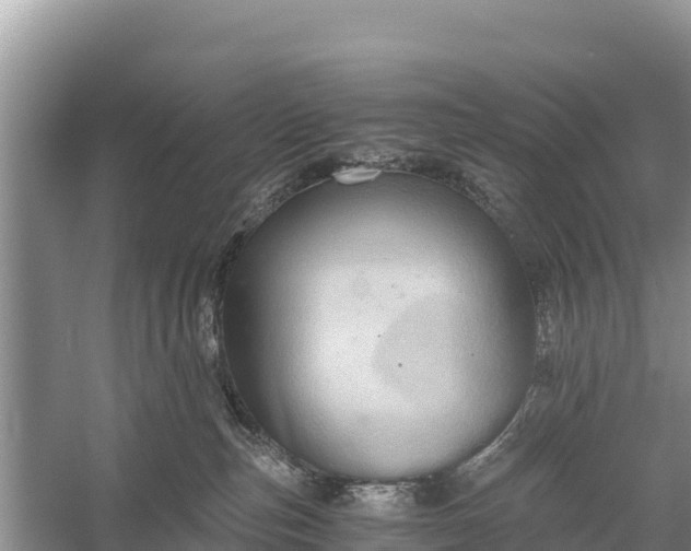 X0000058800187200510071711