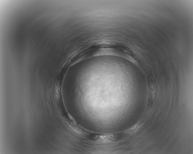 X0000058800188200510071711