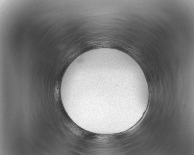 X0000058800190200510071711